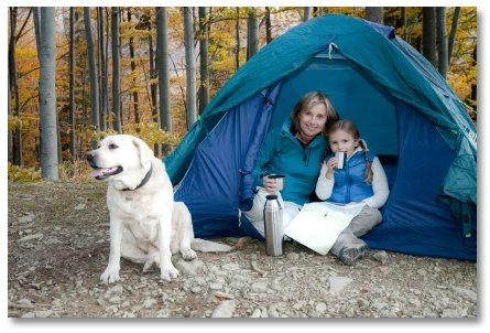 Mother and daughter sitting in a tent in the woods, with their dog sitting next to them
