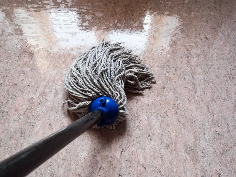 Best mop to clean linoleum floors