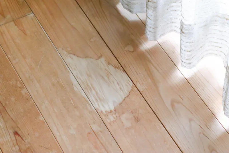Wood flooring with stains from water damage
