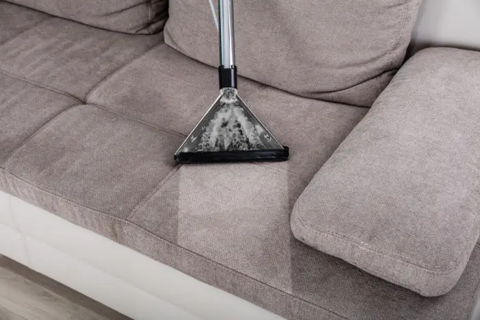How to Clean A Couch Molly Maid
