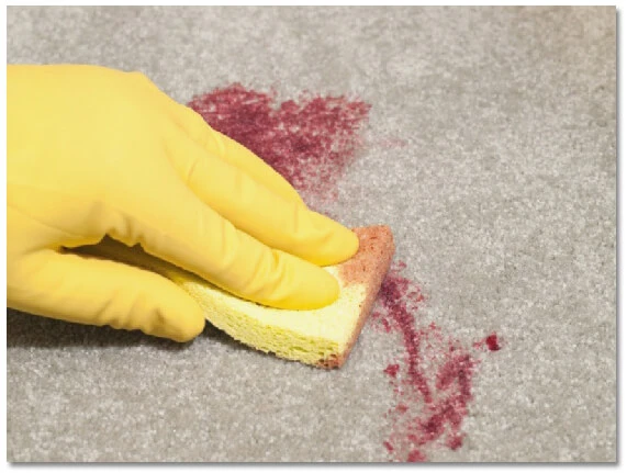 cleaning carpet stain with a sponge
