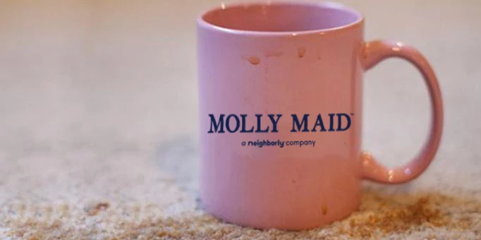A Molly Maid–brand coffee cup on a countertop