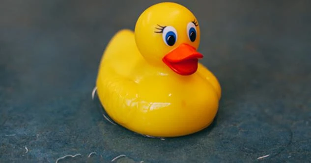A rubber ducky bath toy