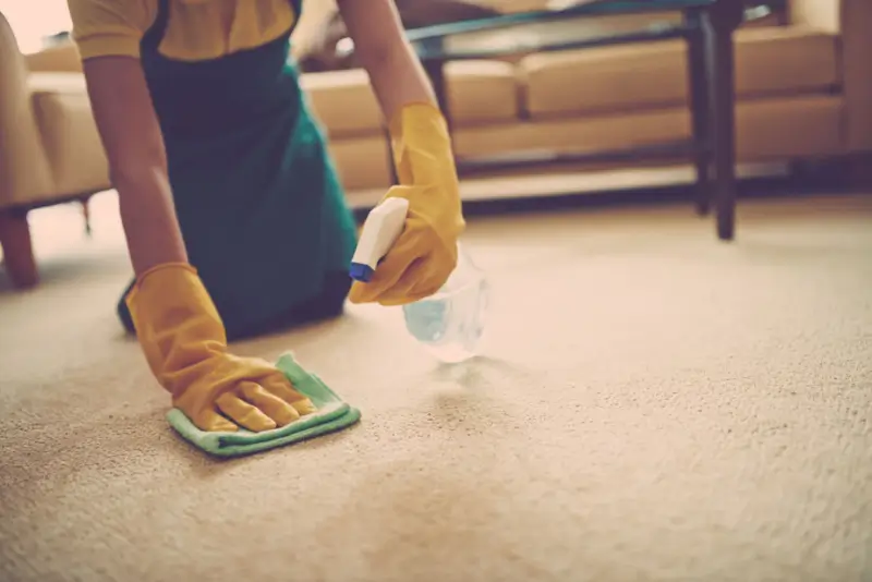 Person scrubbing paint from carpet.