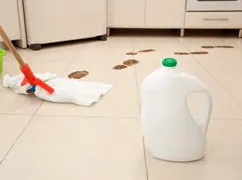 A mop cleaning muddy footprints off a kitchen floor, next to a white bottle of cleaning solution