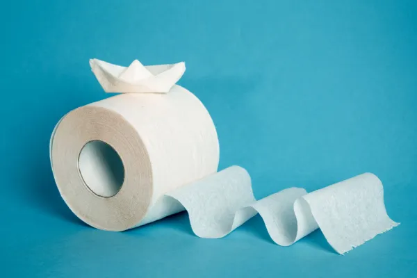 A roll of toilet paper with an origami boat on it.