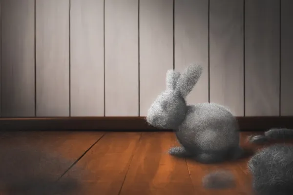 Dust bunny on dirty floor