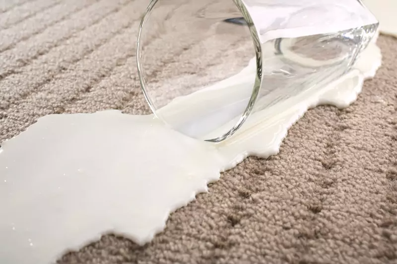 Spilled Milk on Carpet.