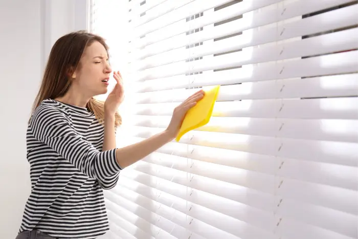 Woman sneezing while dusting window blinds