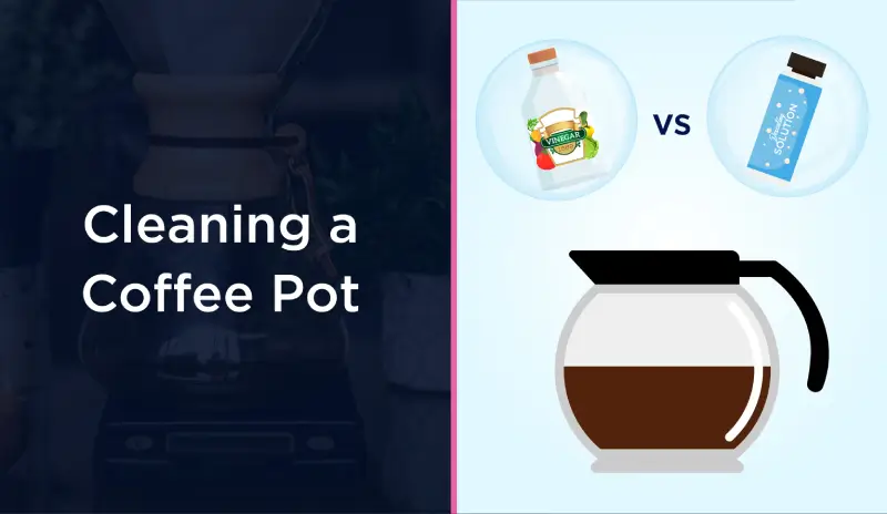 Vinegar vs. Descaling Solution for Coffee Pot | Molly Maid