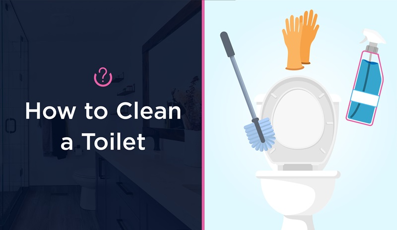 How to Clean a Toilet Hero Image