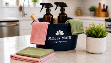 Cleaning supplies in a caddy arranged on a kitchen counter next to a decorative potted plant.